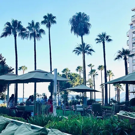 New Studio, Patio, Steps From La Croisette *